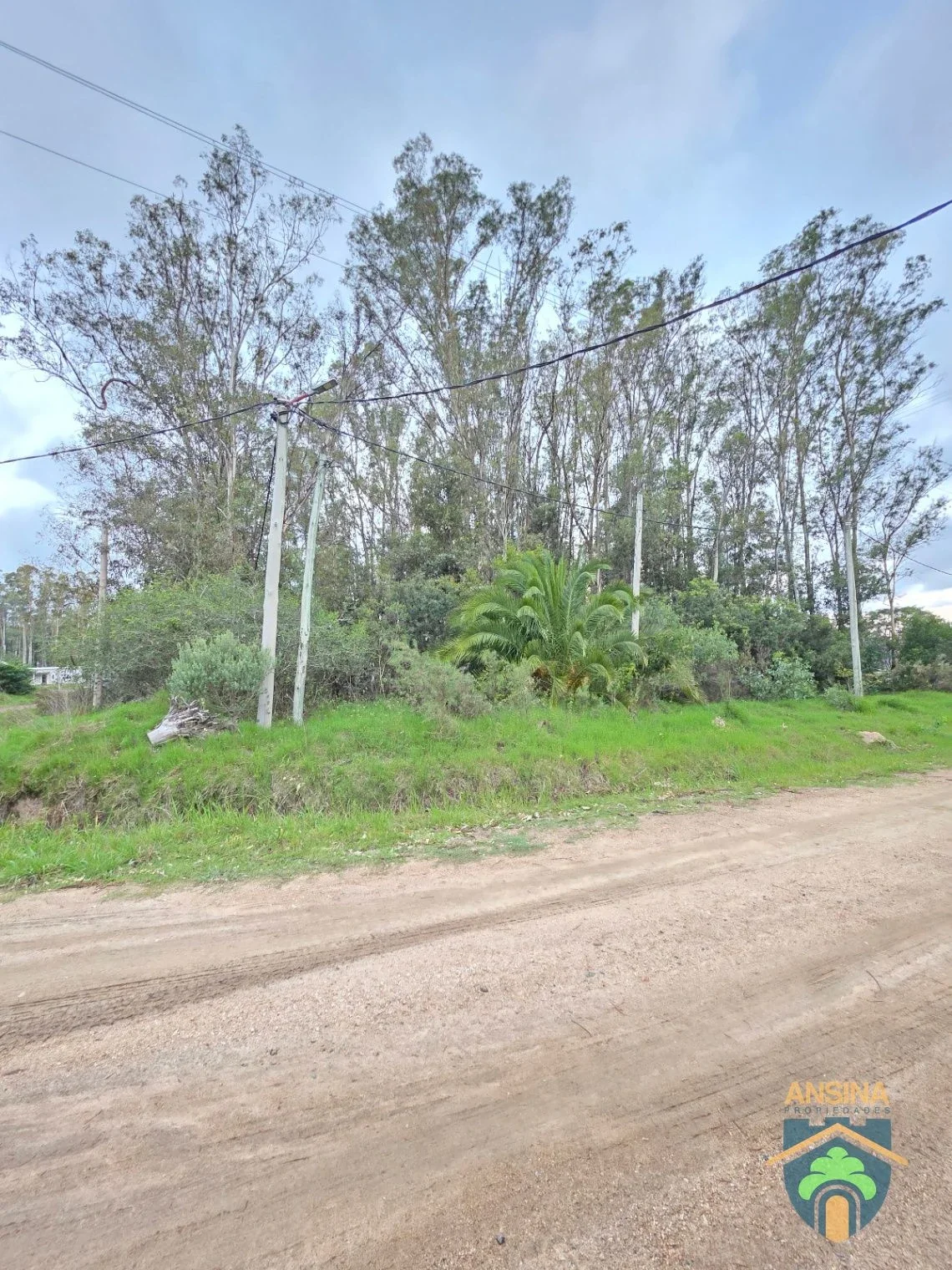Venta Terreno Esquina  alto, forestado y cerca de la playa Bella Vista Maldonado - Imagen 5