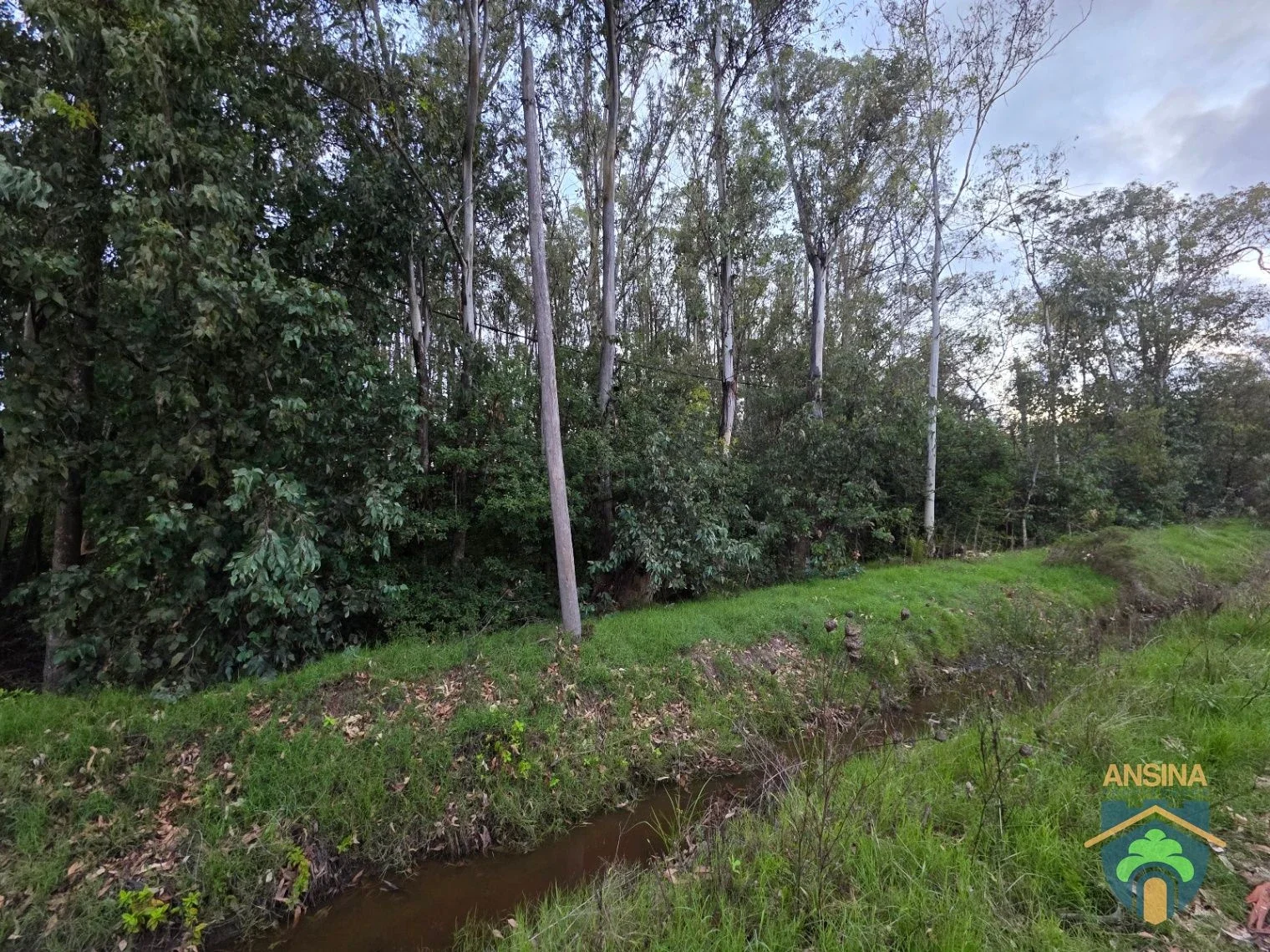 Venta Terreno Esquina  alto, forestado y cerca de la playa Bella Vista Maldonado - Imagen 3