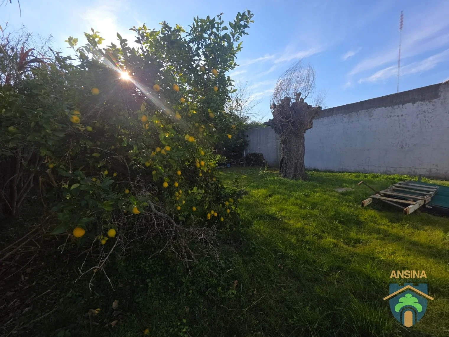 Casa de dos dormitorios en alquiler c/ cochera en Colonia - Real de San Carlos - Imagen 5