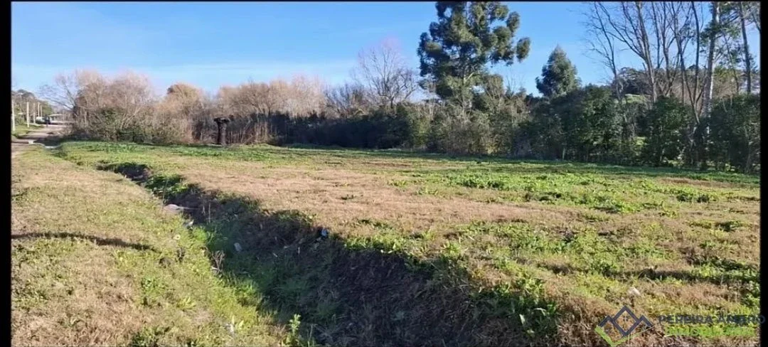 Terreno de 2.000 m² Limpio, Nivelado y Listo para Desarrollar en Colonia Nicolich - Imagen 4