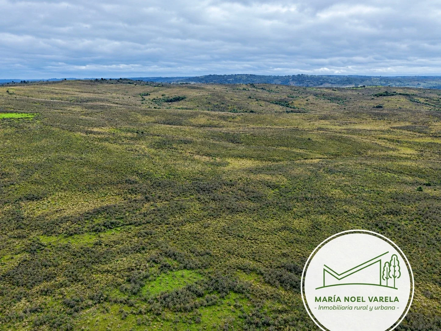 Campo en venta de 552ha ubicado en Centurion - Imagen 4