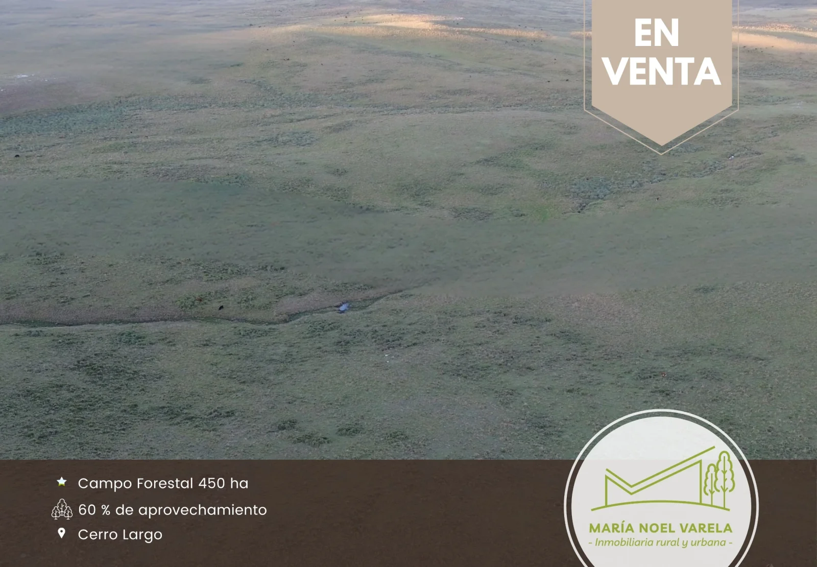 Campo en venta de 450ha ubicado en Cerro De Las Cuentas - Imagen 1