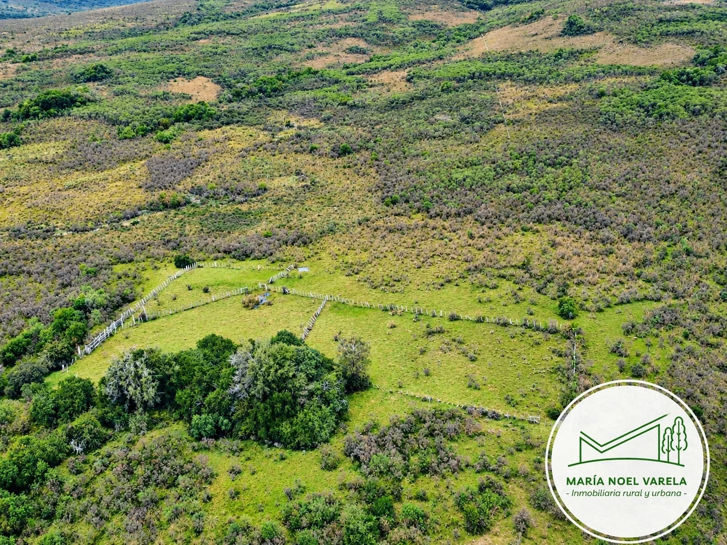 Campo en venta de 552ha ubicado en Centurion - Imagen 3