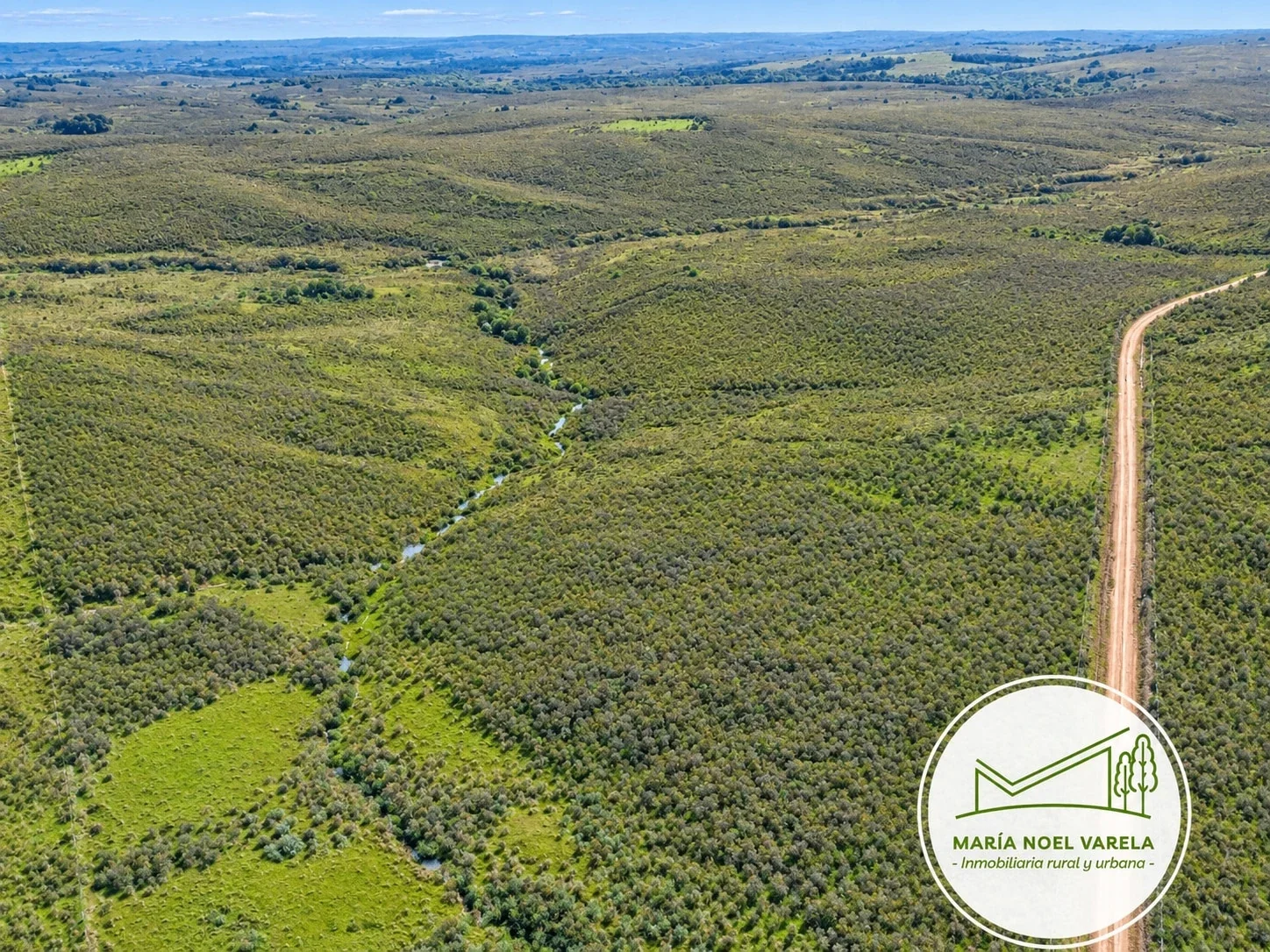 Campo en venta de 552ha ubicado en Centurion - Imagen 2