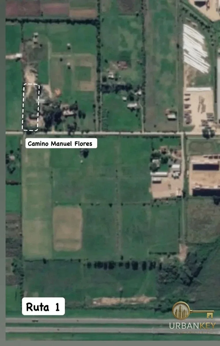 ALQUILER PREDIO LOGISTICO DE 15.000 m² +2 GALPONES - PASO DE LA ARENA MONTEVIDEO - Imagen 5