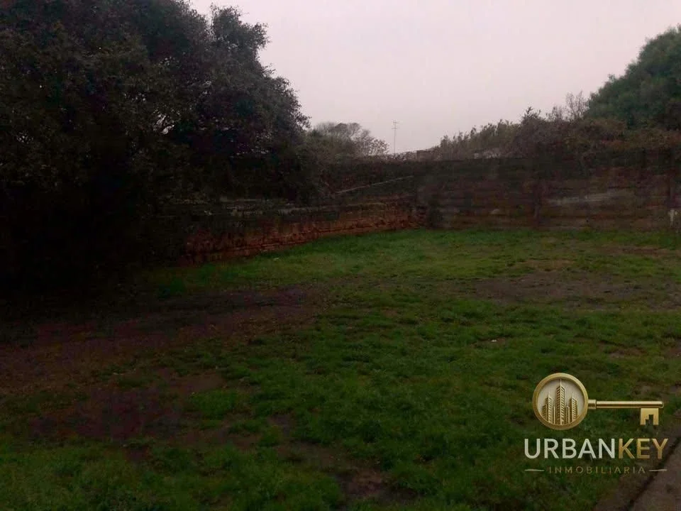 ALQUILER DE APARTAMENTO TIPO PH DE 2 DORMITORIOS SIN GASTOS COMUNES EN EL PRADO - Imagen 4