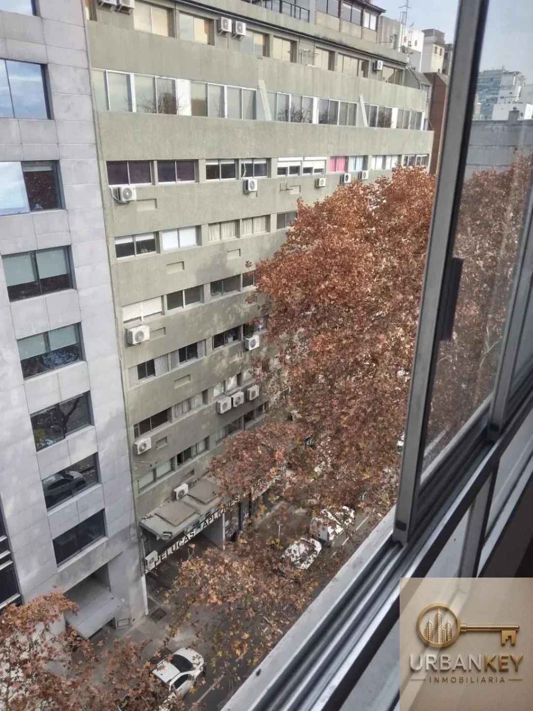 Apartamento en alquiler en Centro - Imagen 5