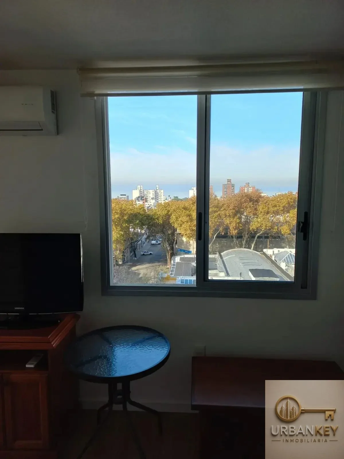 ALQUILER APARTAMENTO 1 DORMITORIO AMOBLADO EN BARRIO SUR - Imagen 4