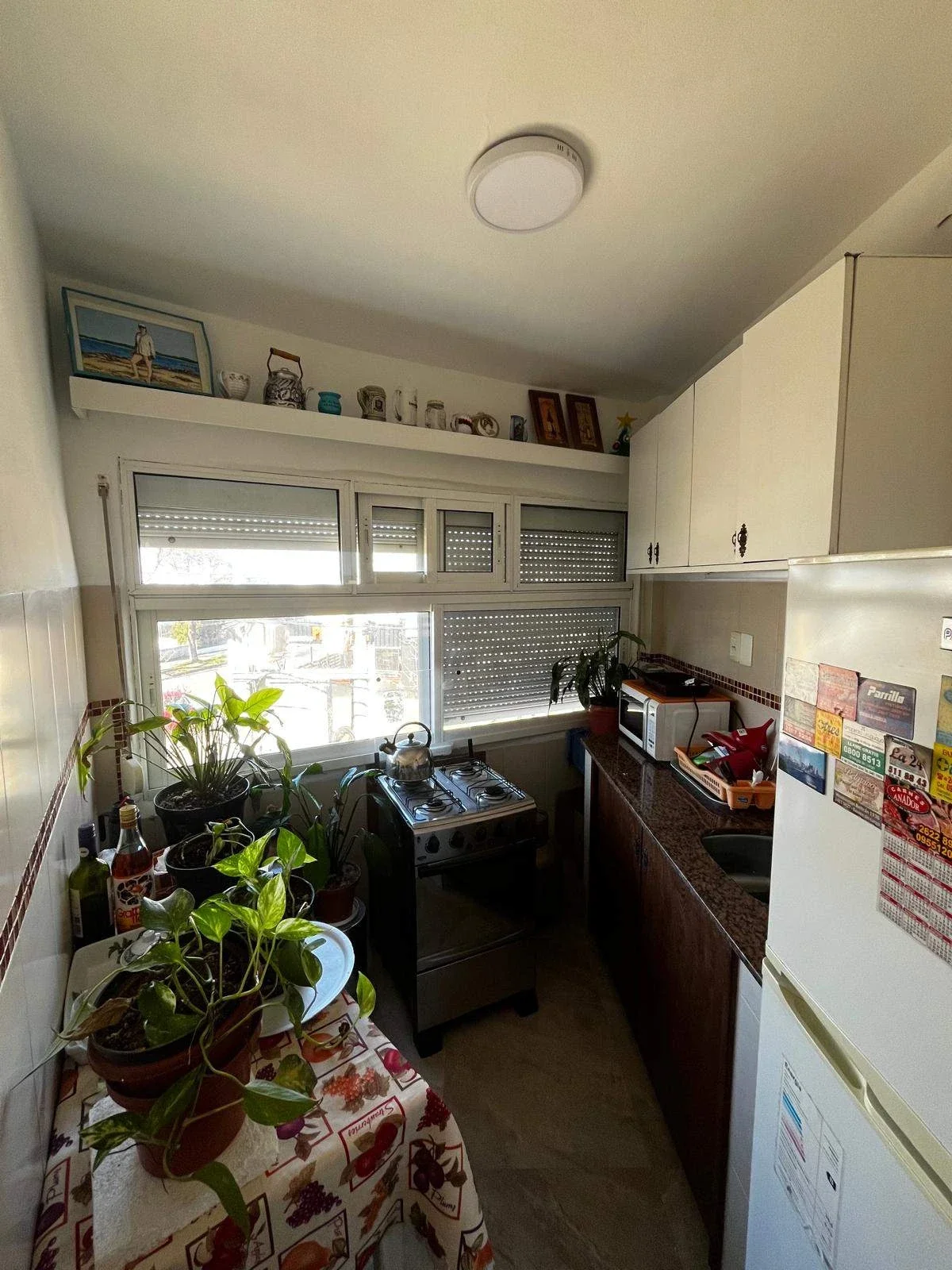 Apartamento en alquiler de 3 dormitorios en Parque Batlle - Imagen 2