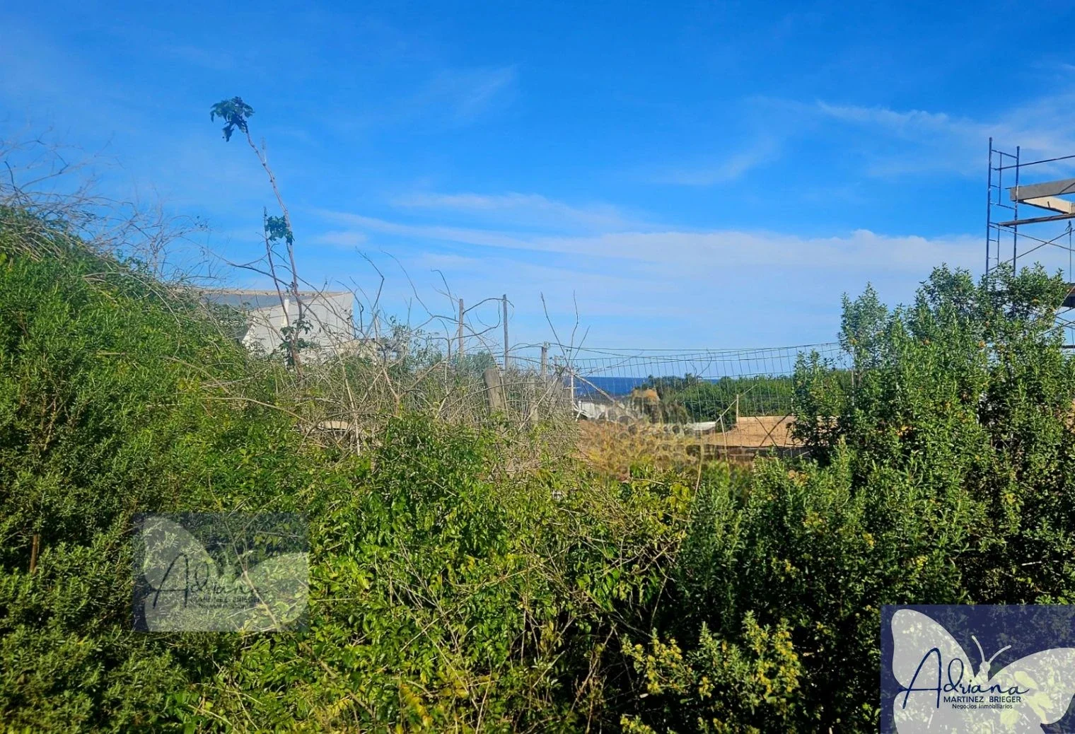 Terreno en venta de 1015m2 ubicado en P. Ballena - Imagen 4