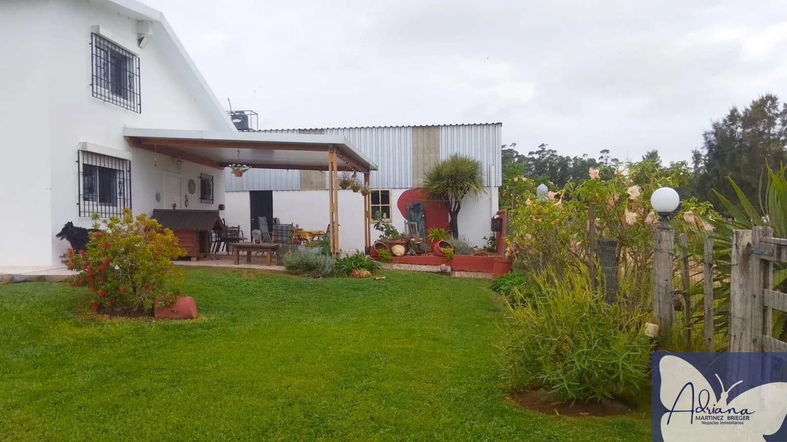 Oportunidad de inversión- chacra de 6ha-Cuchilla Alta c/rentabilidad todo el año - Imagen 2