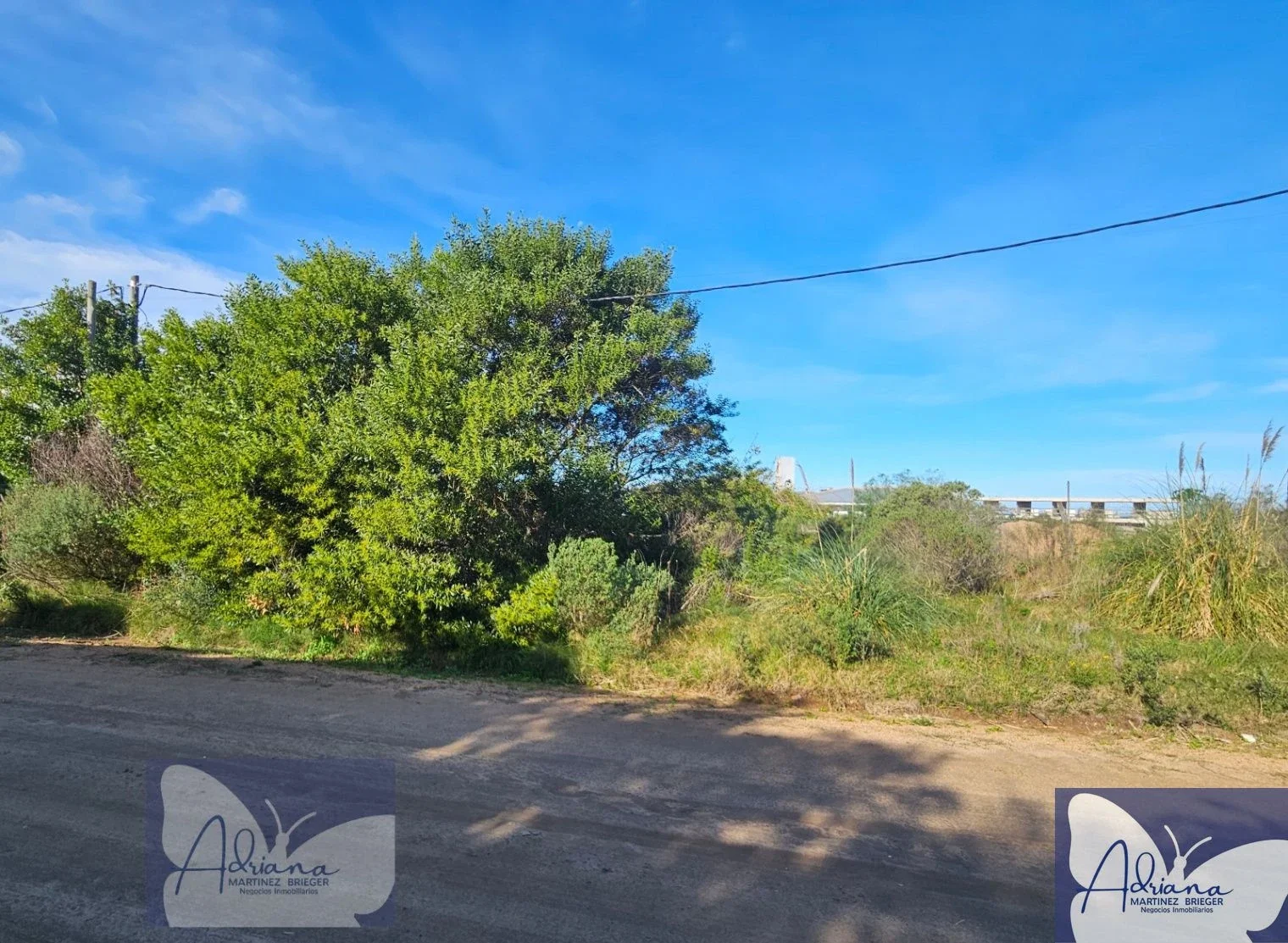 Terreno en venta de 1015m2 ubicado en P. Ballena - Imagen 2