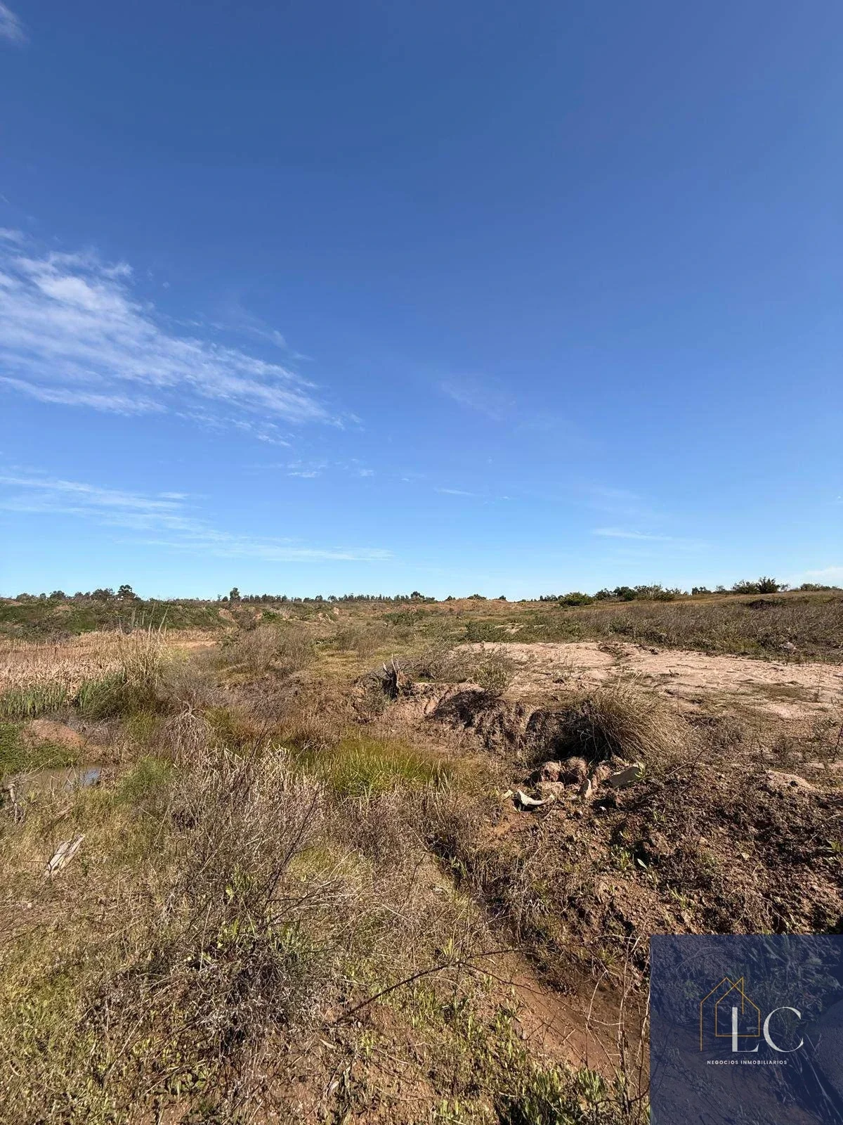 Campo en venta de 11ha ubicado en Capilla De Cella - Imagen 5