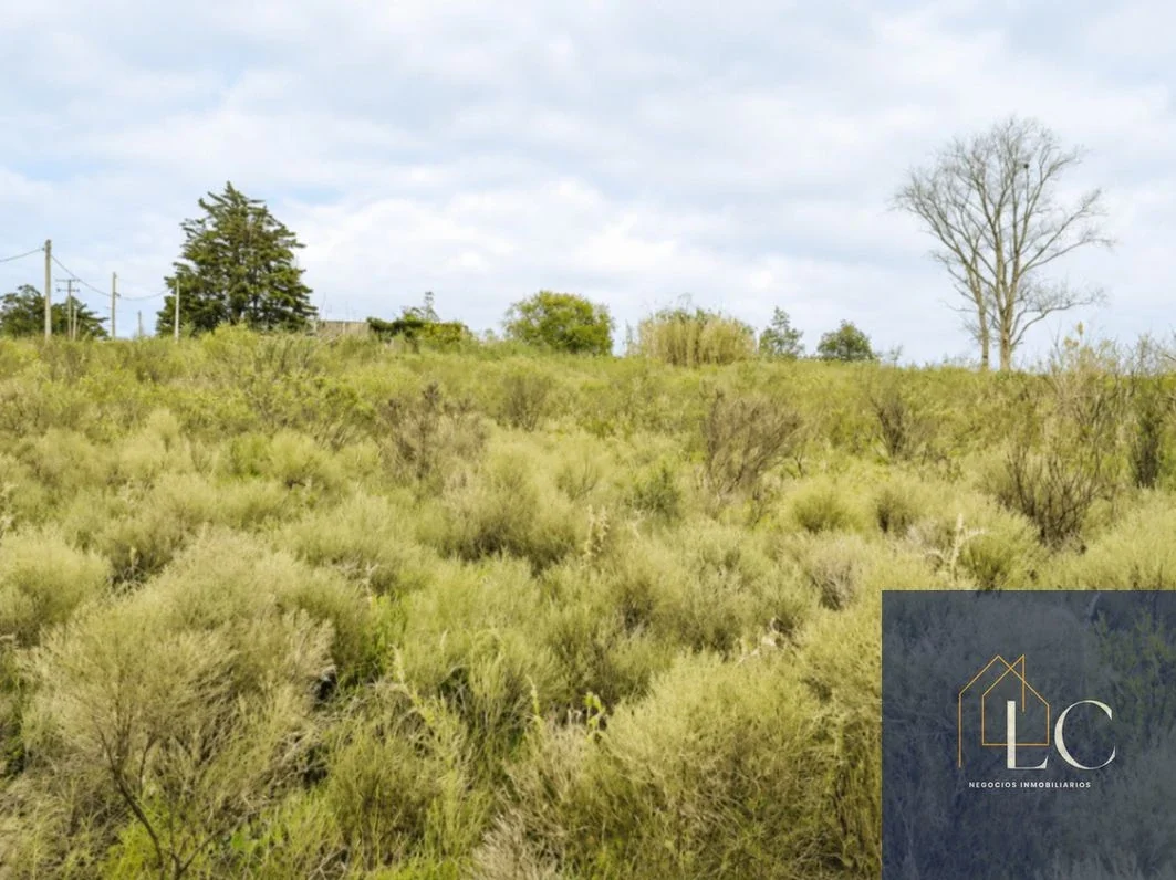 Campo en venta de 3ha ubicado en Carrasco Del Sauce - Imagen 4