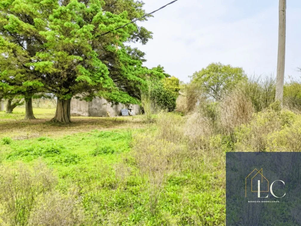 Campo en venta de 3ha ubicado en Carrasco Del Sauce - Imagen 2