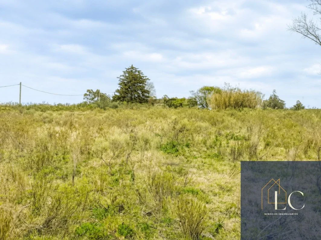 Campo en venta de 3ha ubicado en Carrasco Del Sauce - Imagen 3