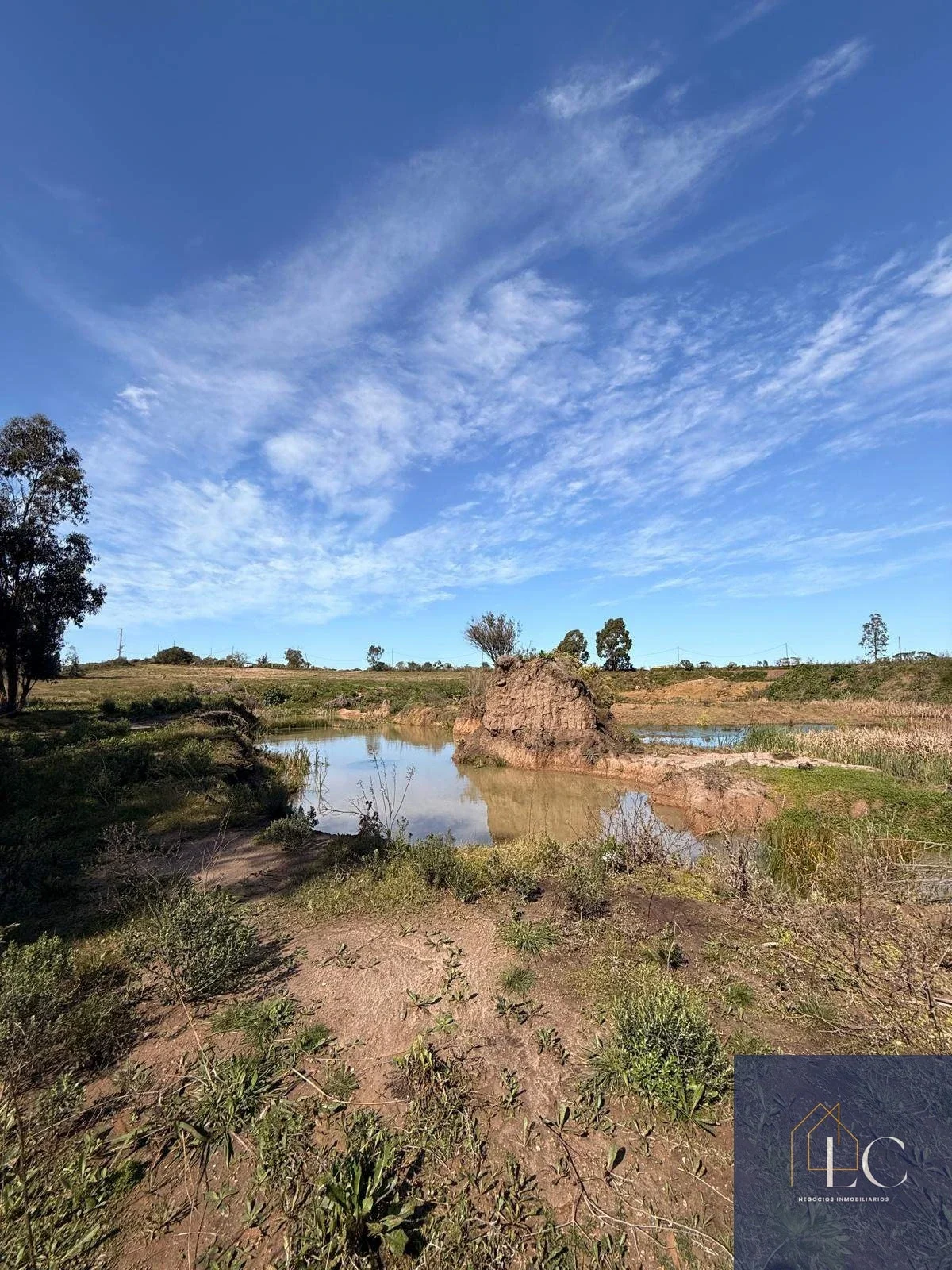 Campo en venta de 11ha ubicado en Capilla De Cella - Imagen 4