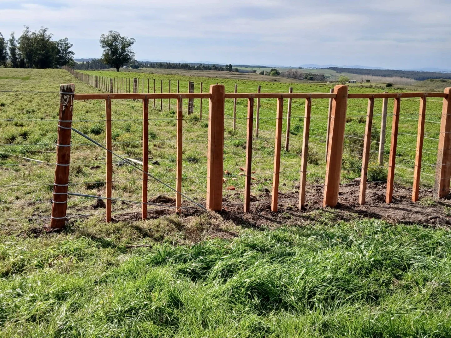 Campo en venta de 58 hectáreas ubicado en Solís Chico - Imagen 3