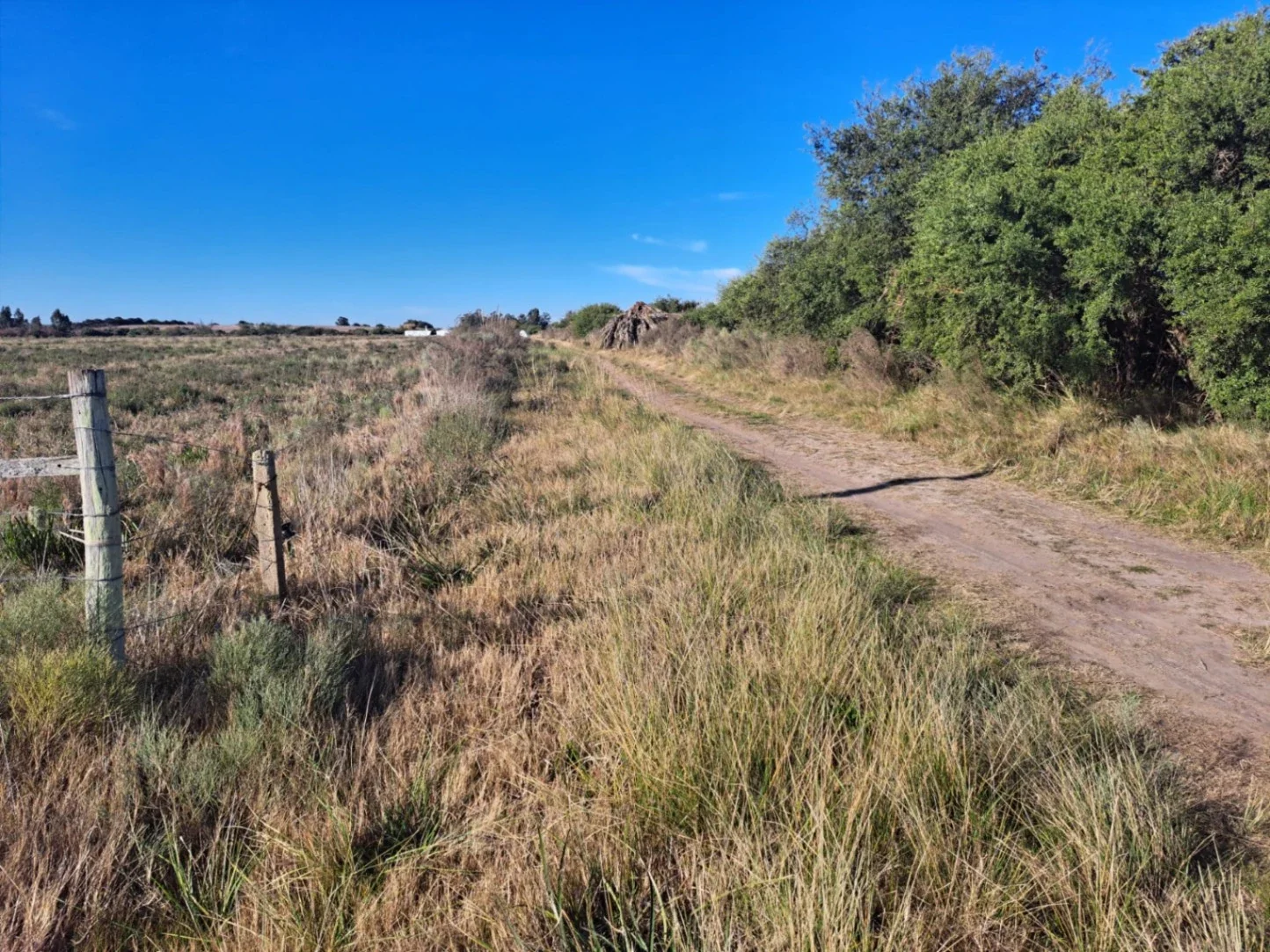 Chacra en venta de 12 hectáreas 3709m²ubicado en Santa Rosa - Canelones - Imagen 3