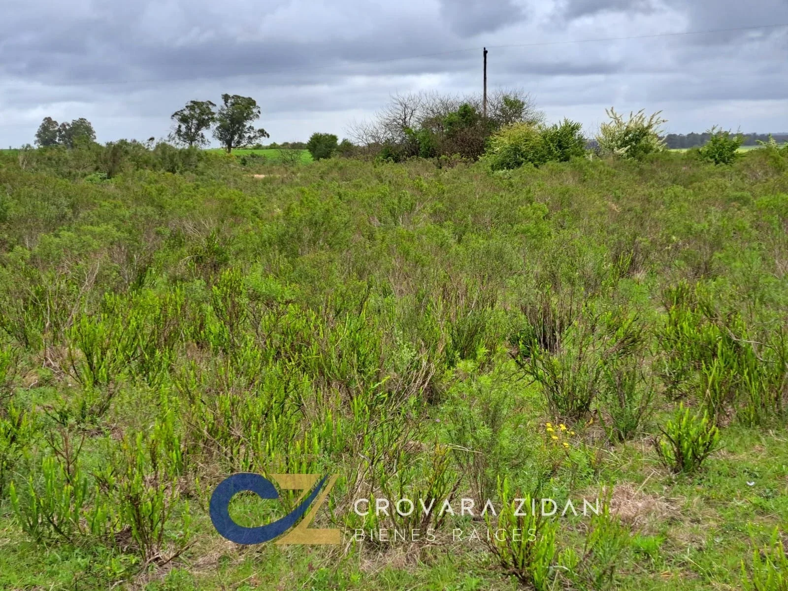 Campo en venta de 3 hectáreas, ubicado en Ruta 88, Solís Chico. - Imagen 4