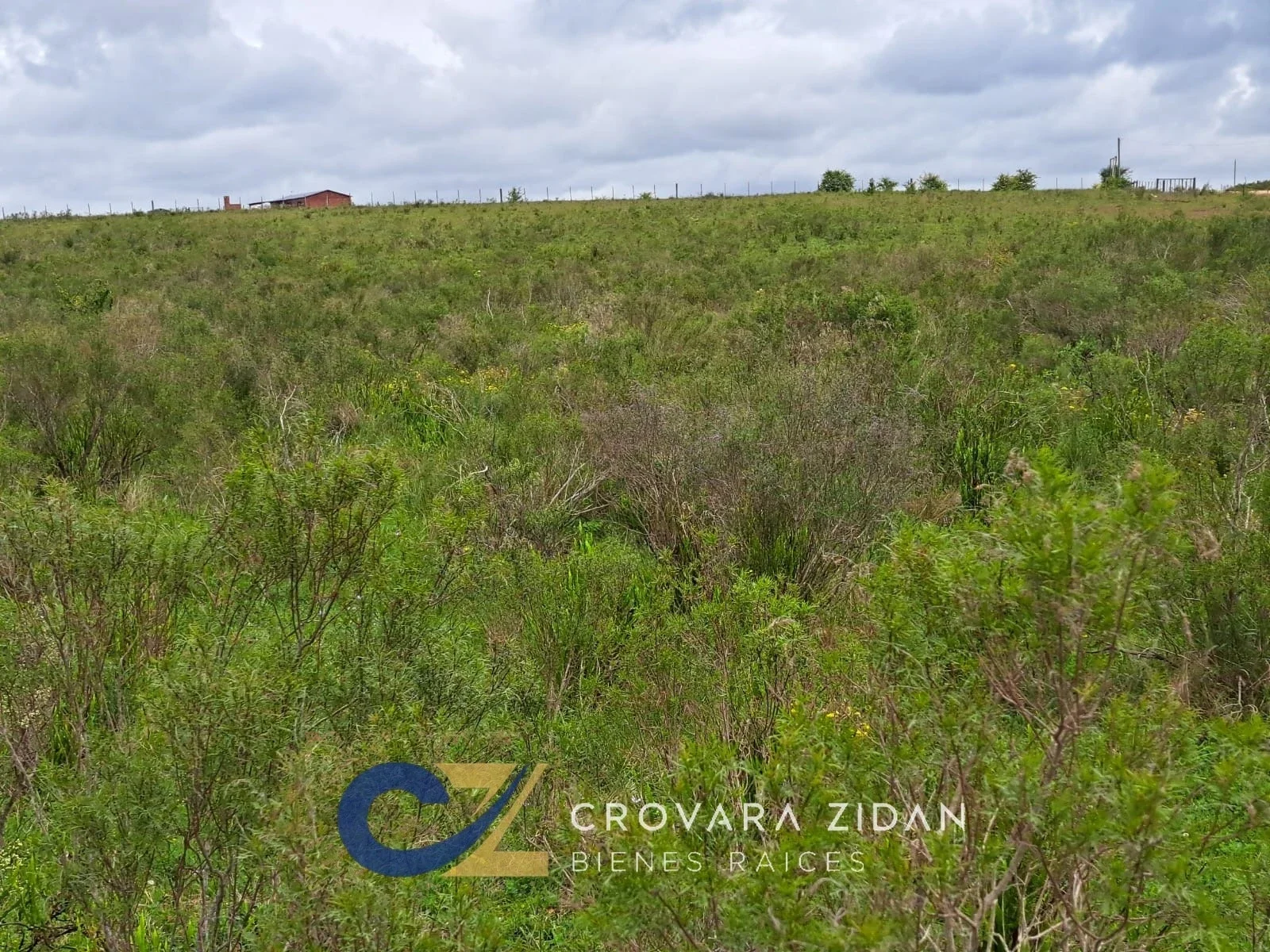 Campo en venta de 3 hectáreas, ubicado en Ruta 88, Solís Chico. - Imagen 5