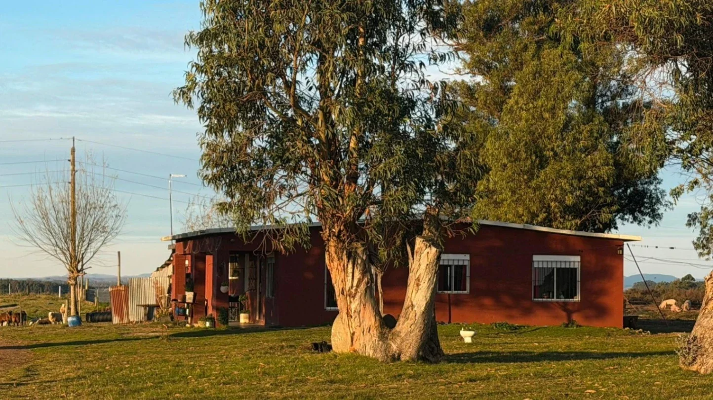 Chacra en venta en Migues - Canelones -Ruta 80 km 92, 15 hectáreas 4070 m² - Imagen 1
