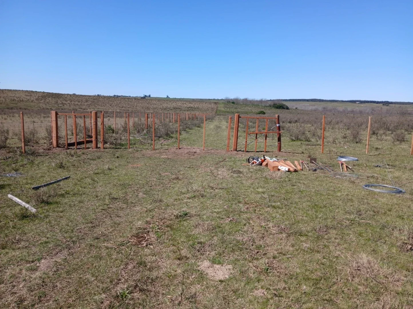 Campo en venta de 58 hectáreas ubicado en Solís Chico - Imagen 4