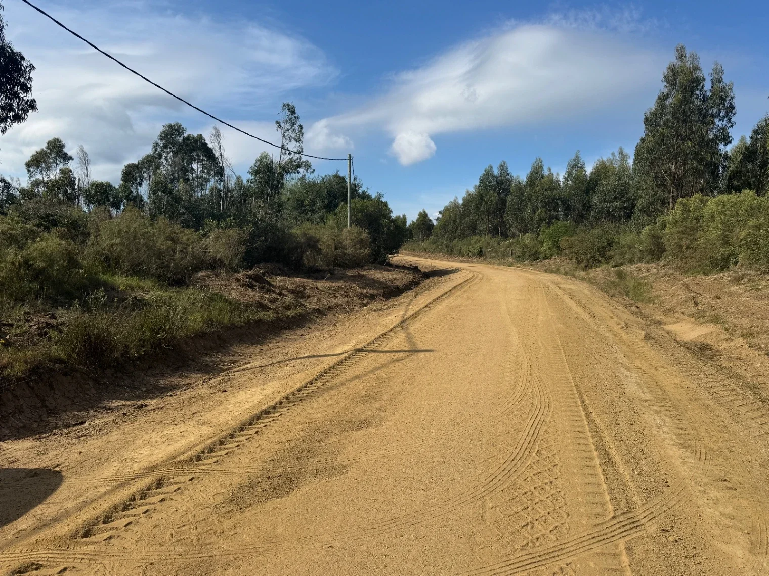 Chacra de 5 h en estación La Floresta - Imagen 5