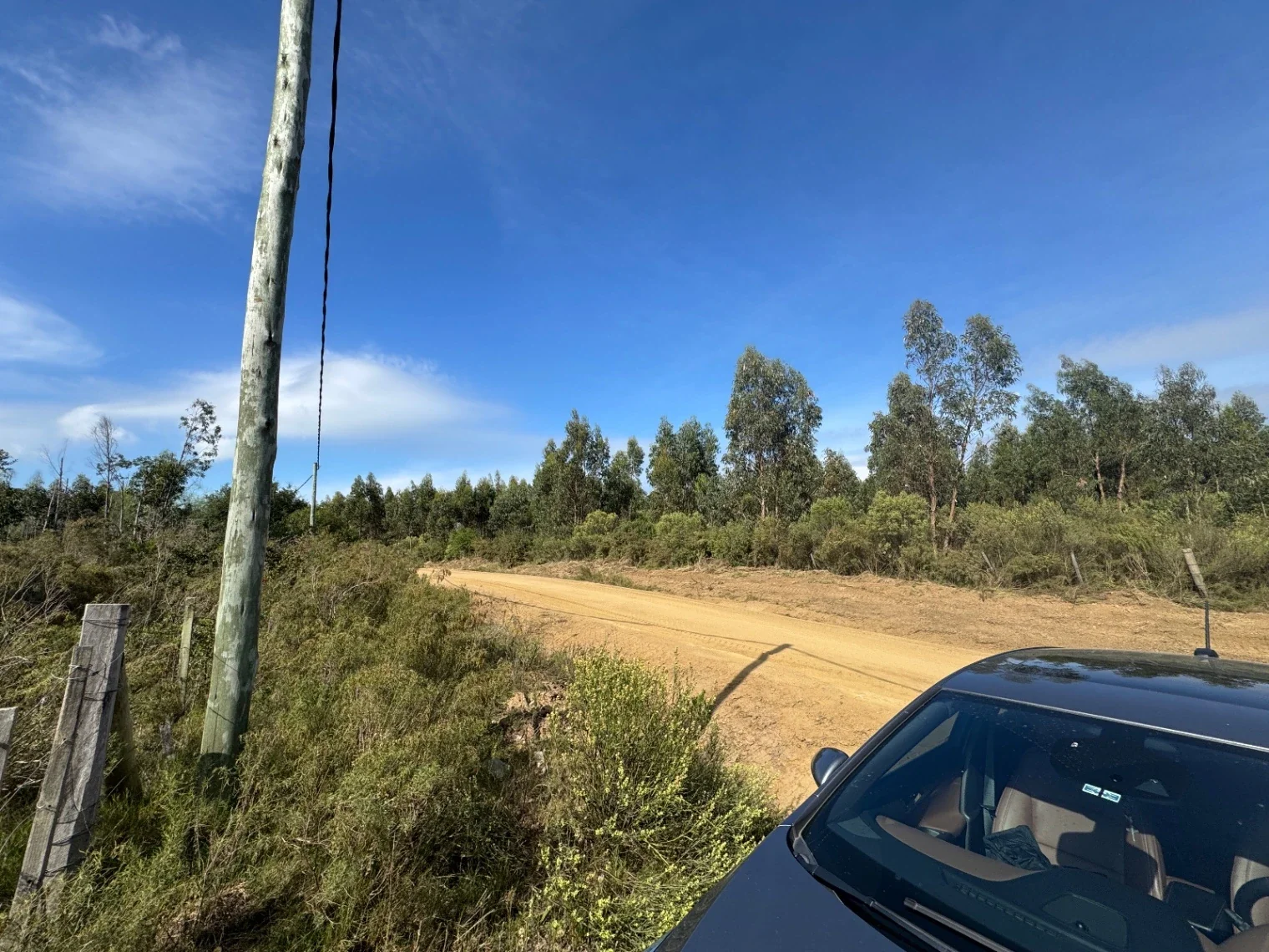 Chacra de 5 h en estación La Floresta - Imagen 2