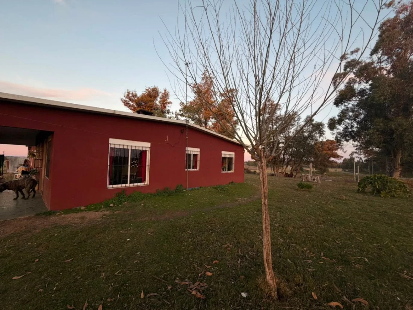 Chacra en venta en Migues - Canelones -Ruta 80 km 92, 15 hectáreas 4070 m² - Imagen 2
