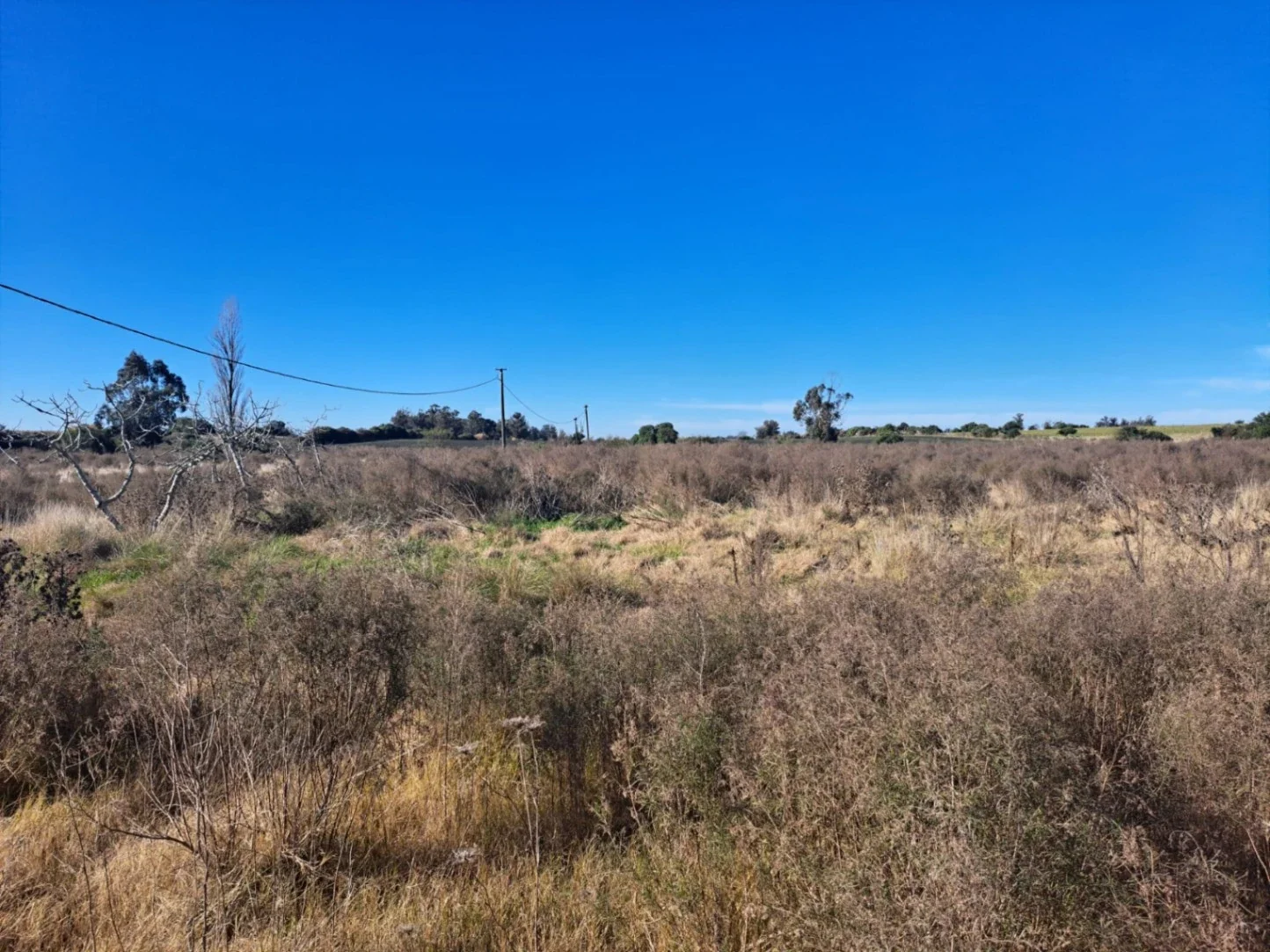 Chacra en venta de 12 hectáreas 3709m²ubicado en Santa Rosa - Canelones - Imagen 5