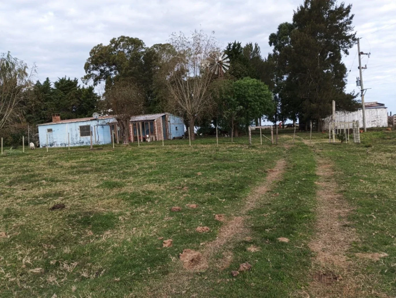 Campo en venta de 14.5 ha en San José de Mayo - Imagen 2