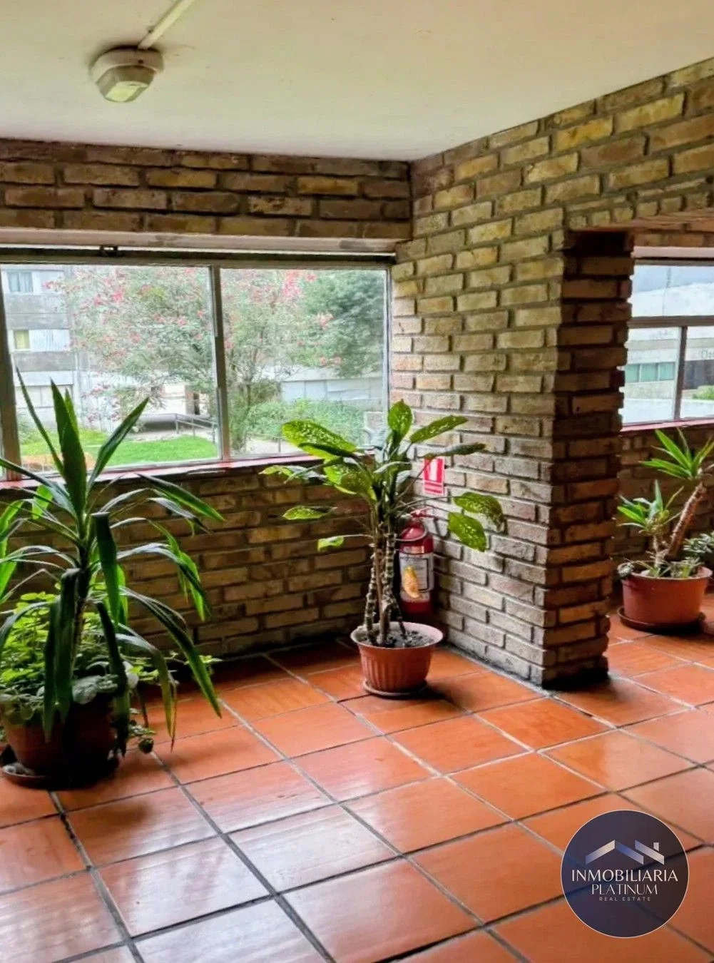 Apartamento en venta en Malvin Norte - Imagen 2