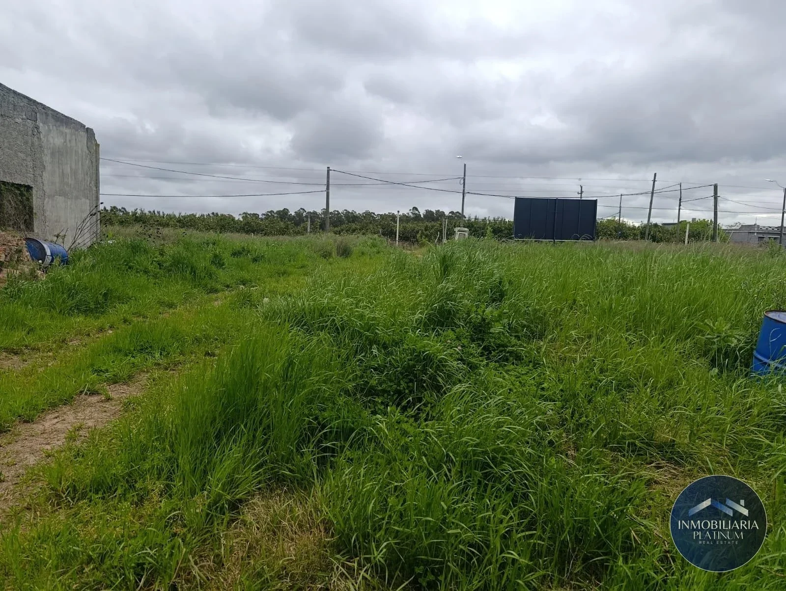 Galpón en venta de 14900m2 ubicado en Mendoza - Imagen 3