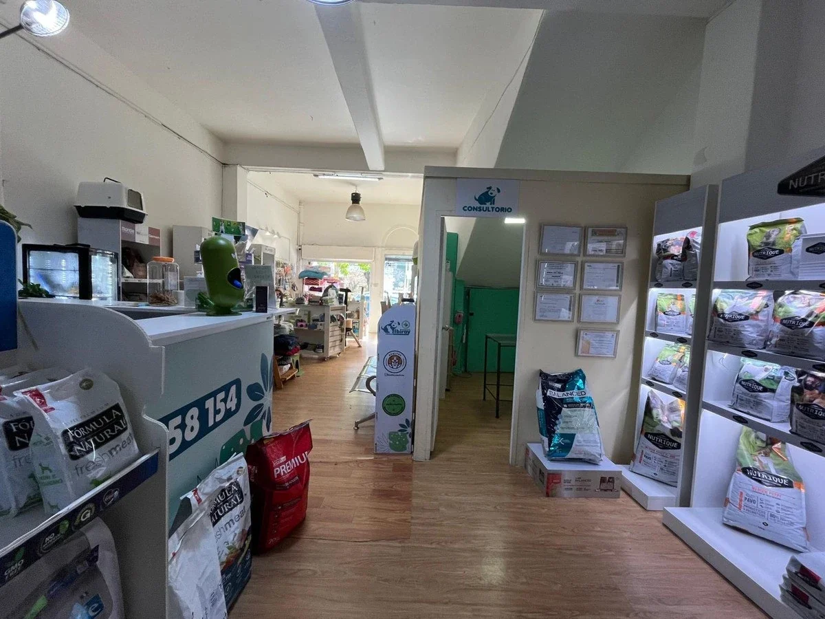 Venta de Casa de 10 Dormitorios con Local en Parque Rodó, Punta Carretas - Imagen 5
