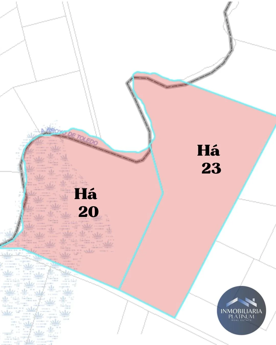 Terreno en venta de 43ha ubicado en Barros Blancos - Imagen 5