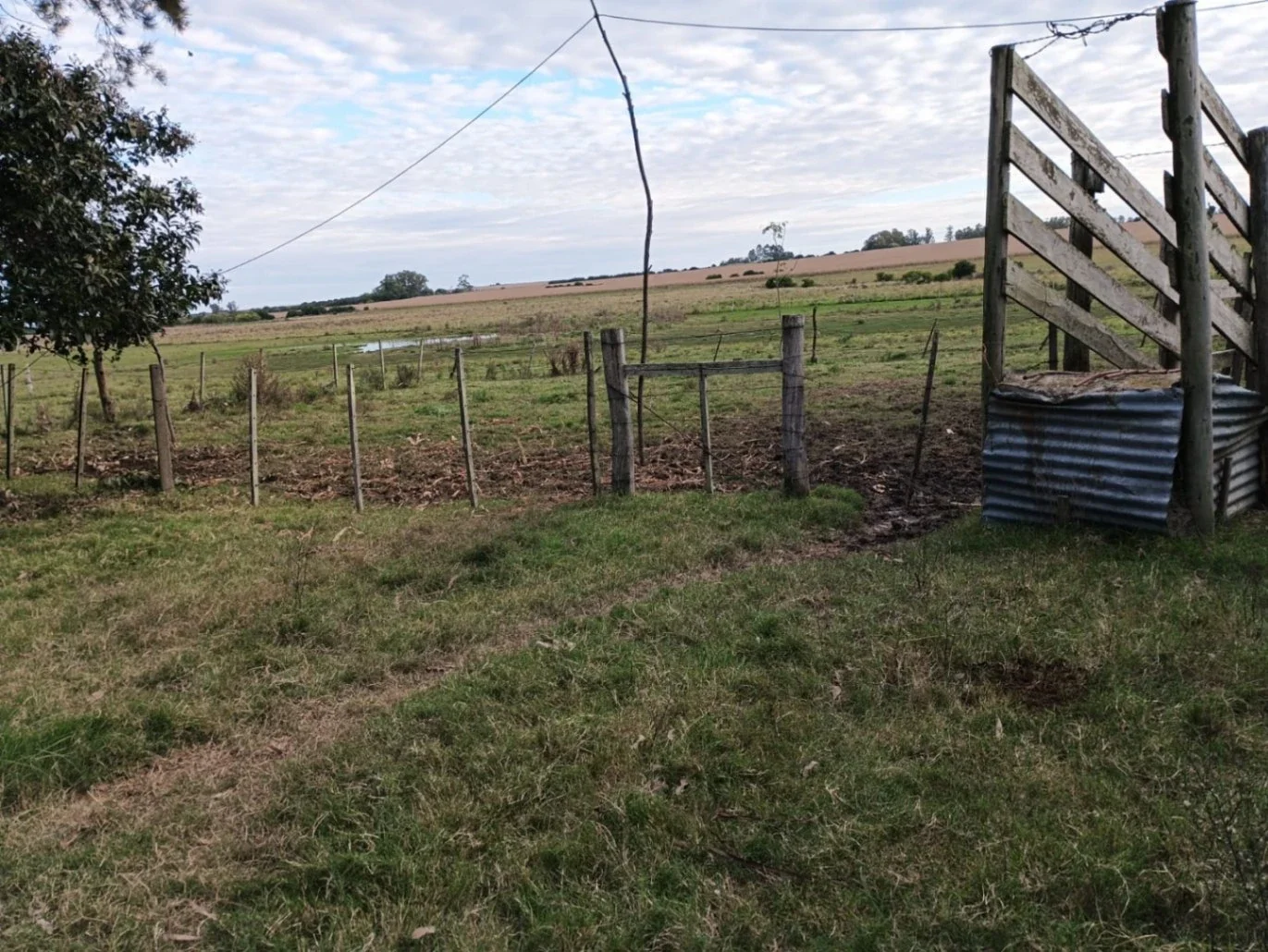 Campo en venta de 14.5 ha en San José de Mayo - Imagen 4