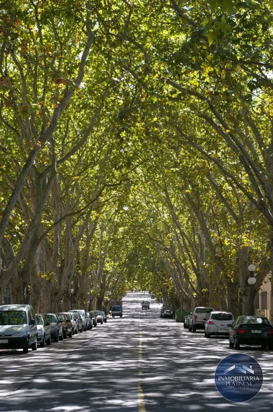 Terreno en venta de 1317m2 ubicado en Prado - Imagen 3