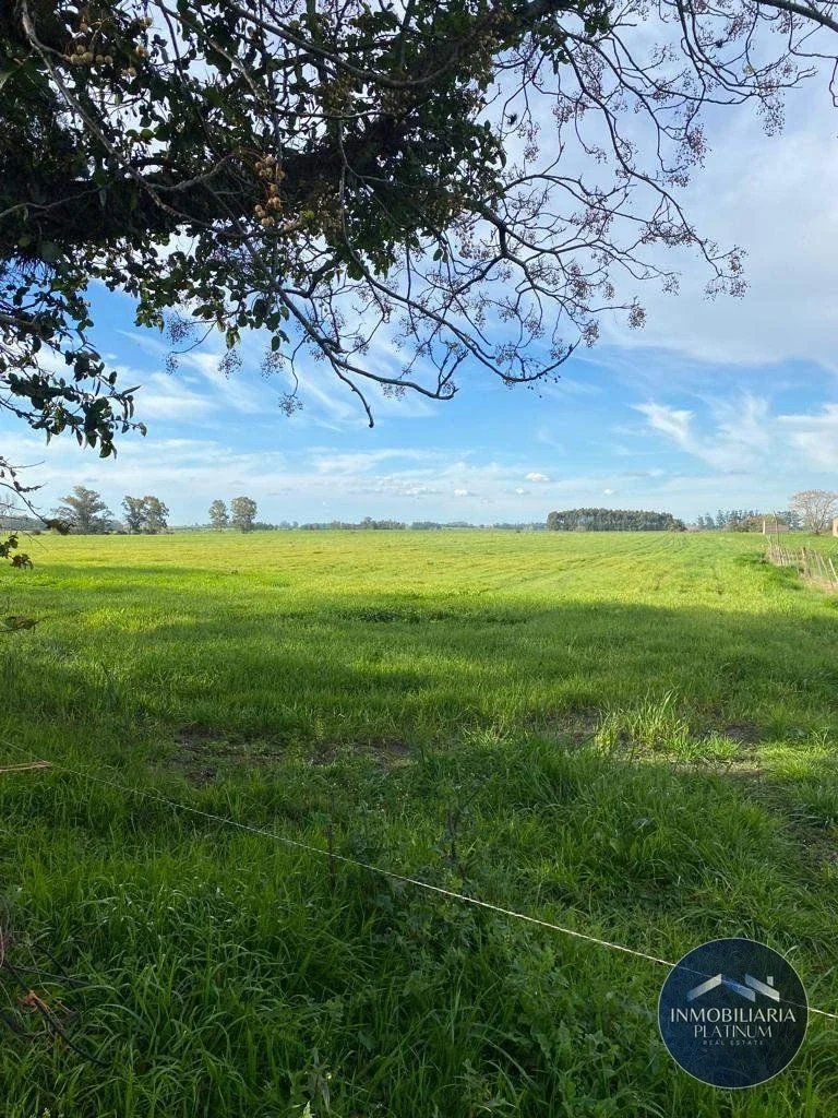 Campo en venta de 58 hac - Imagen 2