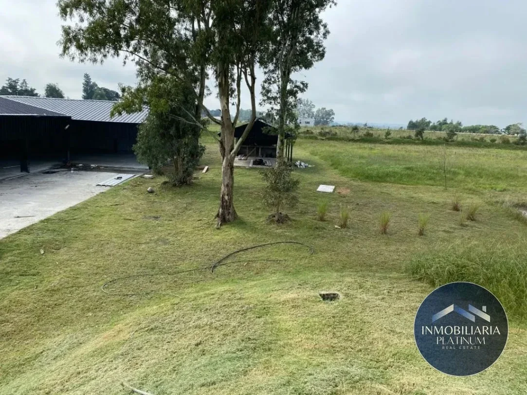 Chacra en venta de 55000m2 ubicado en Cruz De Los Caminos - Imagen 3