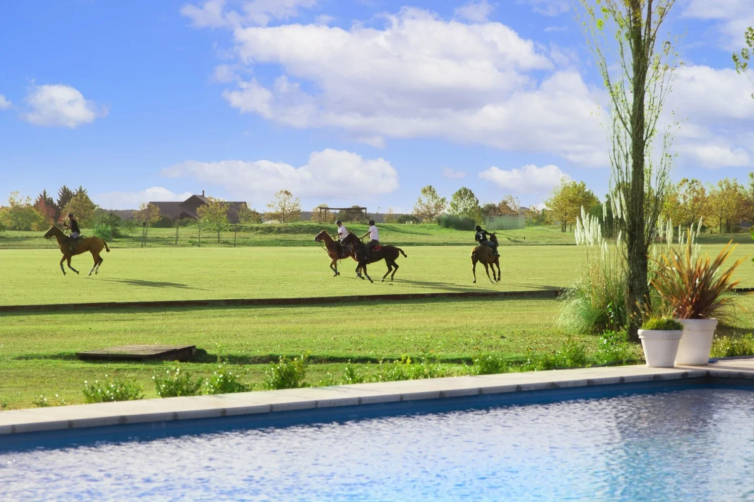Terreno en venta de 4250m2 ubicado en Carmelo - Imagen 3