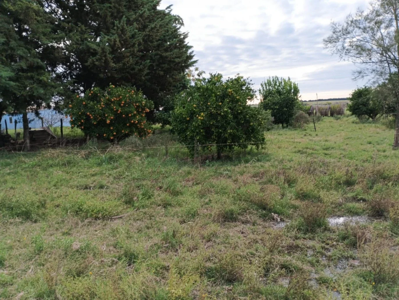 Campo en venta de 14.5 ha en San José de Mayo - Imagen 3