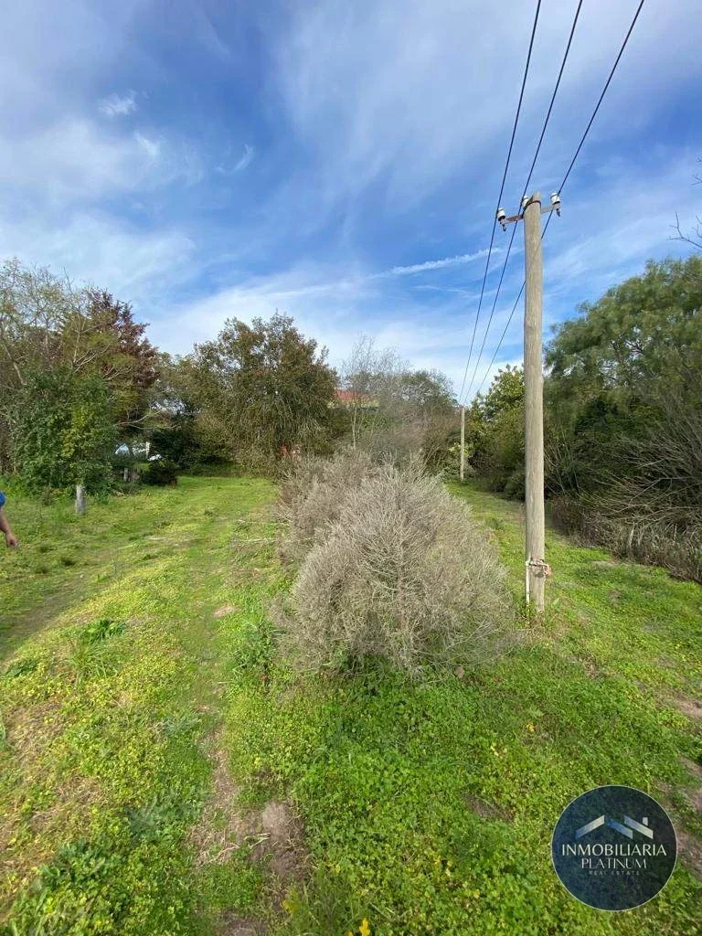 Campo en venta de 58 hac - Imagen 4