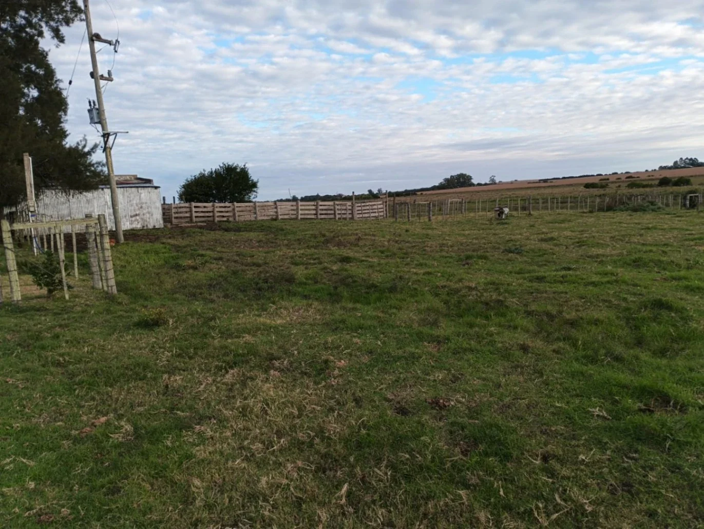 Campo en venta de 14.5 ha en San José de Mayo - Imagen 5