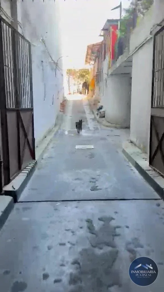 Local Comercial en venta ubicado en Cordón - Imagen 2