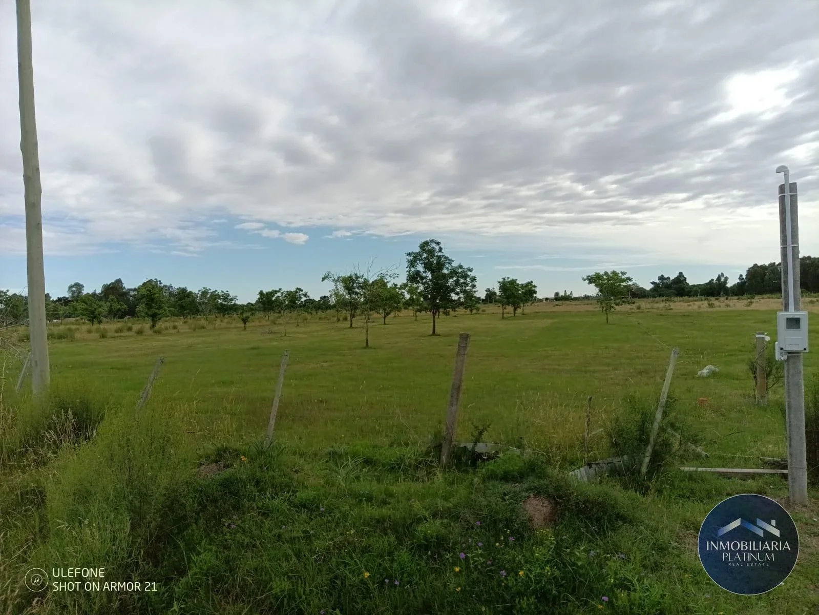 Campo en venta de 9503m2 ubicado en Santa Monica - Imagen 1