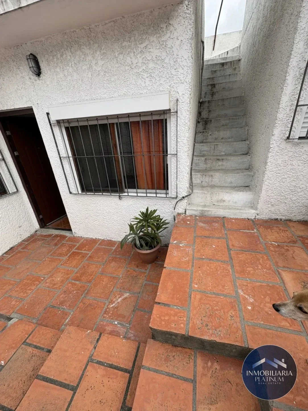 Apartamento en alquiler en Aires Puros - Imagen 2