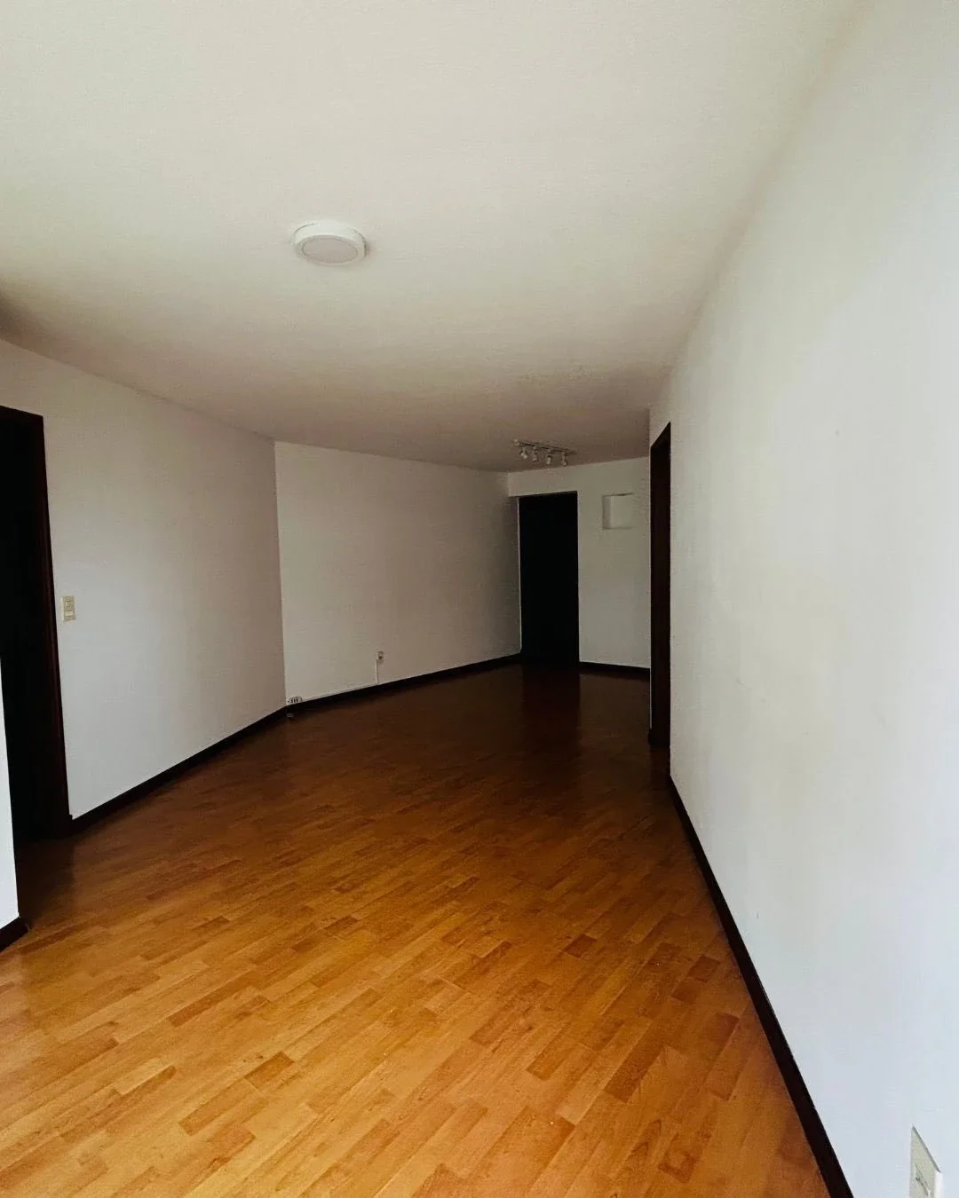 Apartamento en alquiler de 3 dormitorios c/ cochera en Malvin - Imagen 4