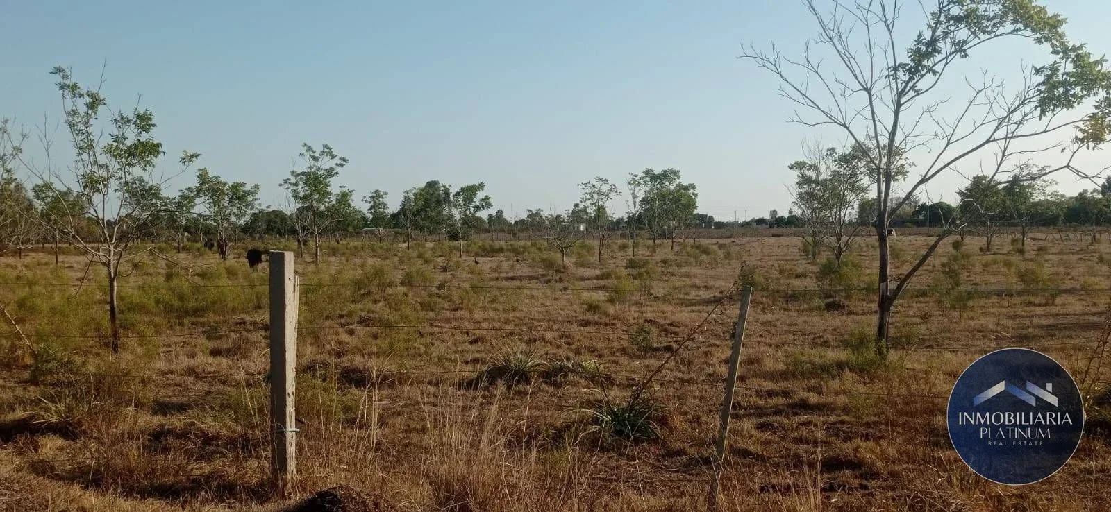 Campo en venta de 9503m2 ubicado en Santa Monica - Imagen 3