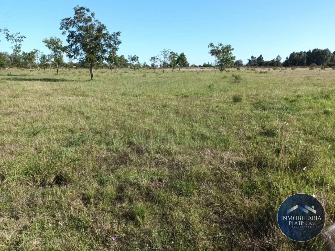 Campo en venta de 9503m2 ubicado en Santa Monica - Imagen 2